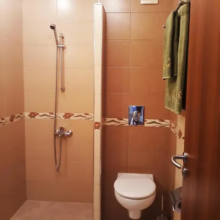 Family Radiana 2* Sozopol